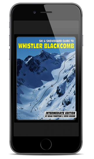 https://quickdrawpublications.com/wp-content/uploads/2016/03/whistlerint_cover-543-322x543.png